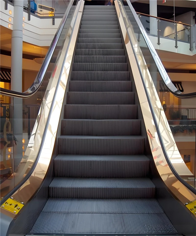 Elevator Escalator suppliers